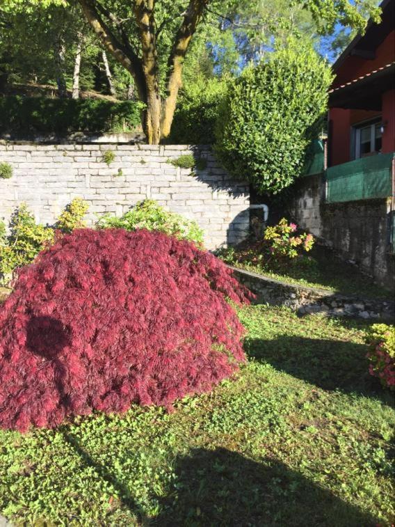Villa Assunta Premeno Екстериор снимка